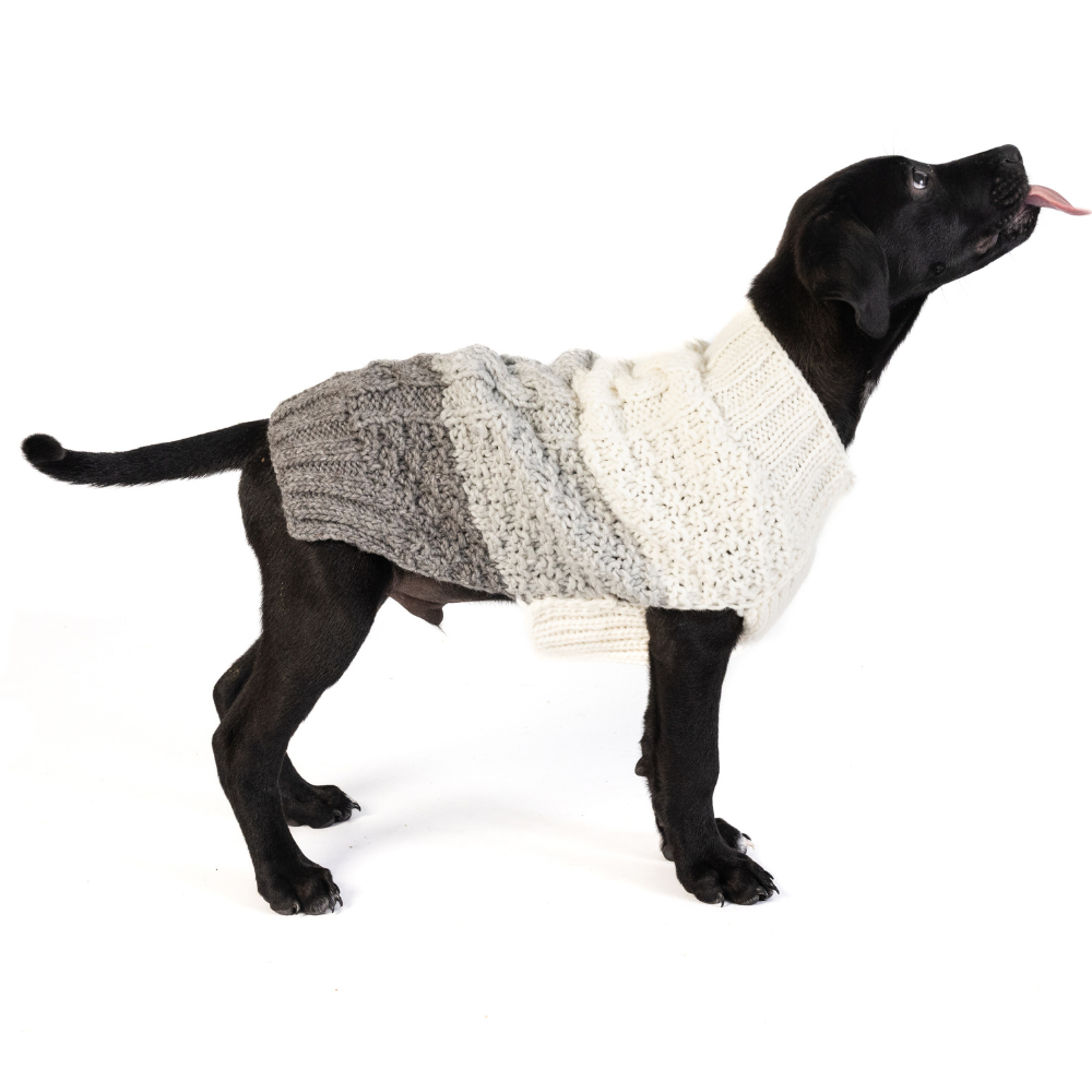 Chilly Dog Color Block Cable Wool Dog Sweater
