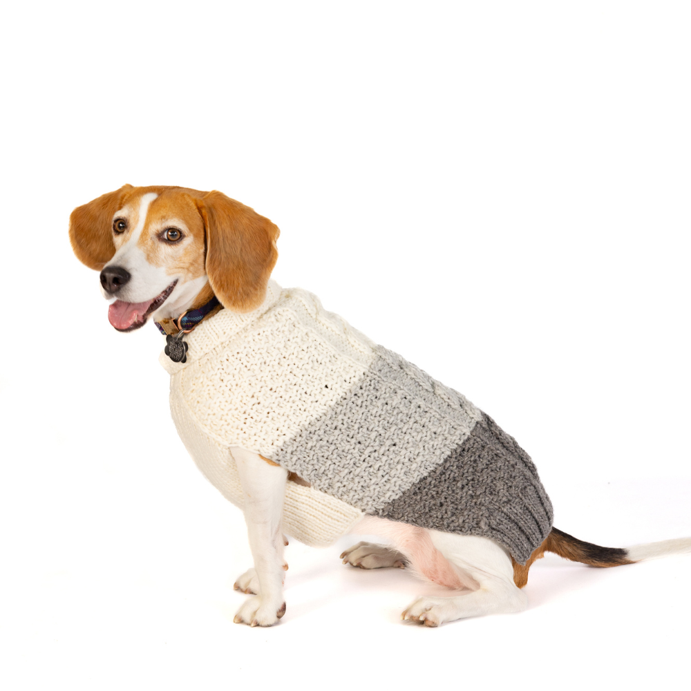 Chilly Dog Color Block Cable Wool Dog Sweater