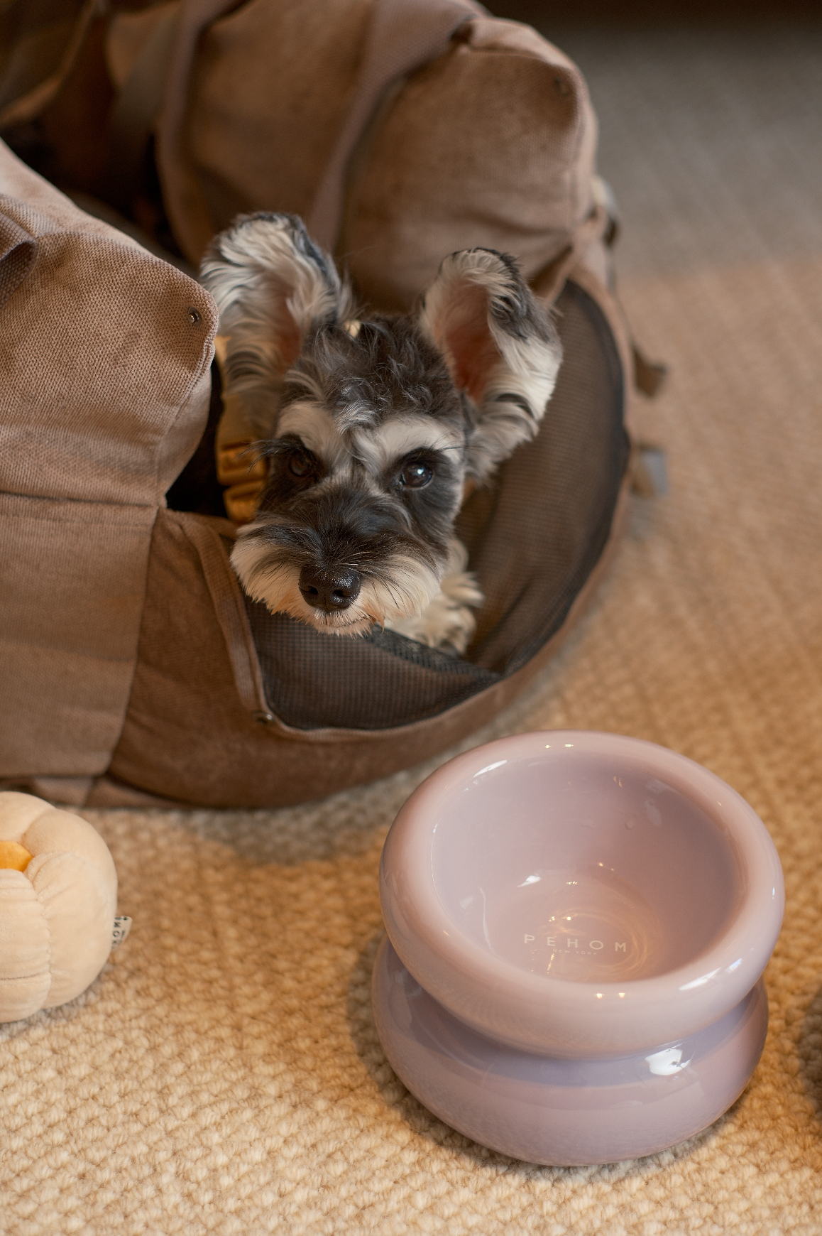 Souffle Pet Bowl-Purple