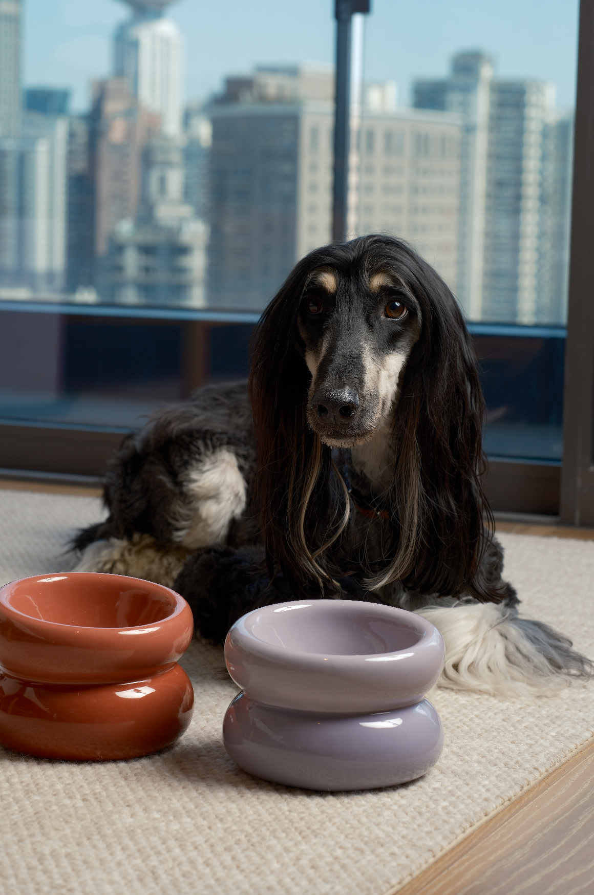 Souffle Pet Bowl-Purple