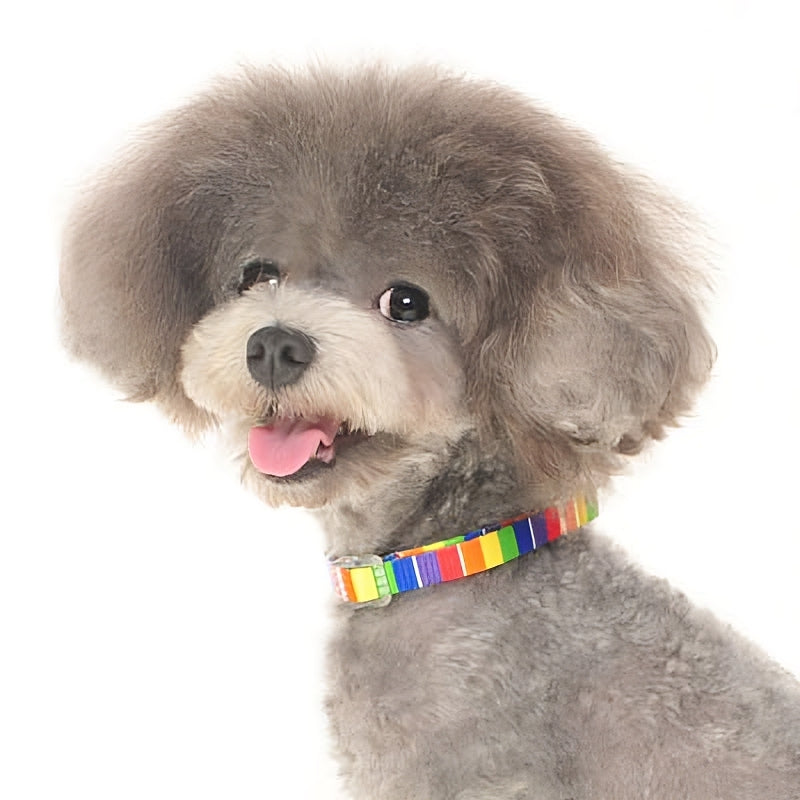 DOGO Contempo Dog Collar