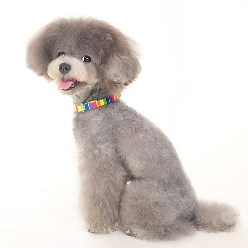 DOGO Contempo Dog Collar