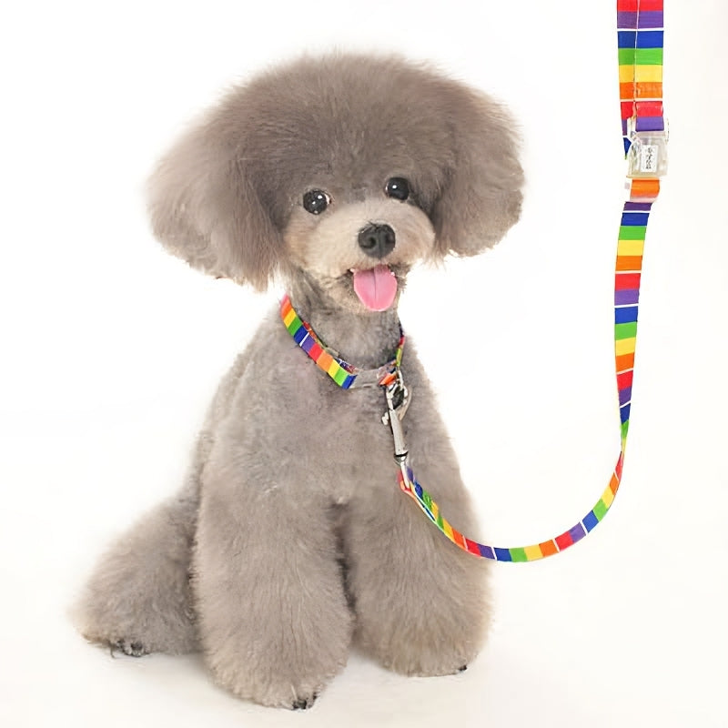 DOGO Contempo Dog Collar