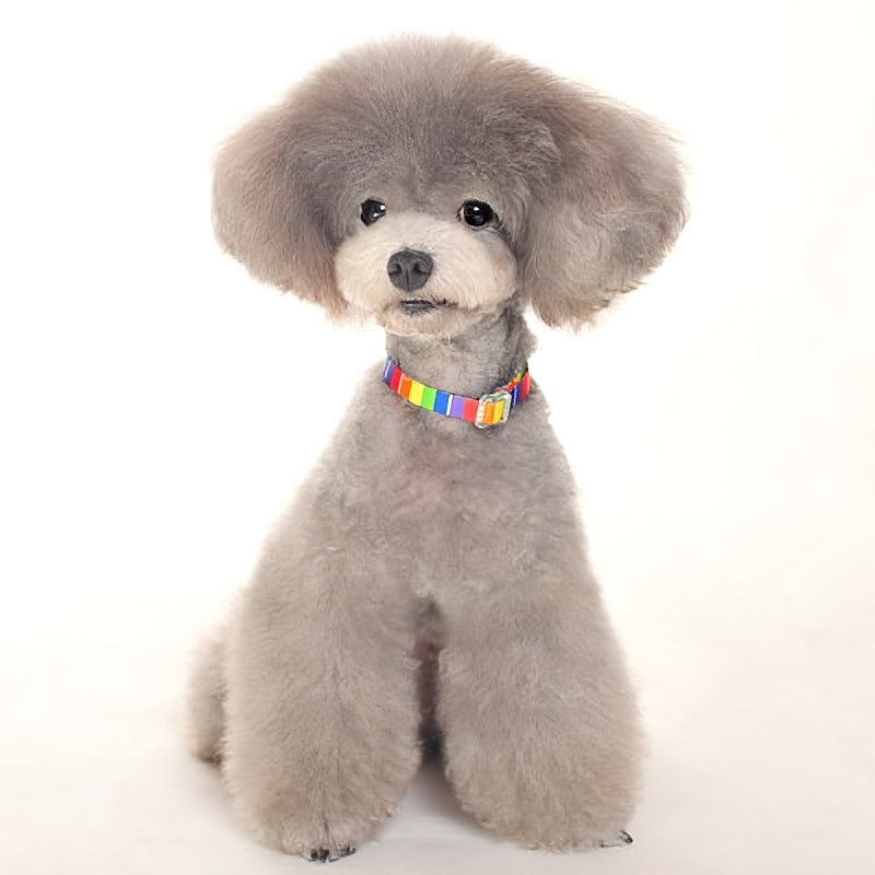 DOGO Contempo Dog Collar