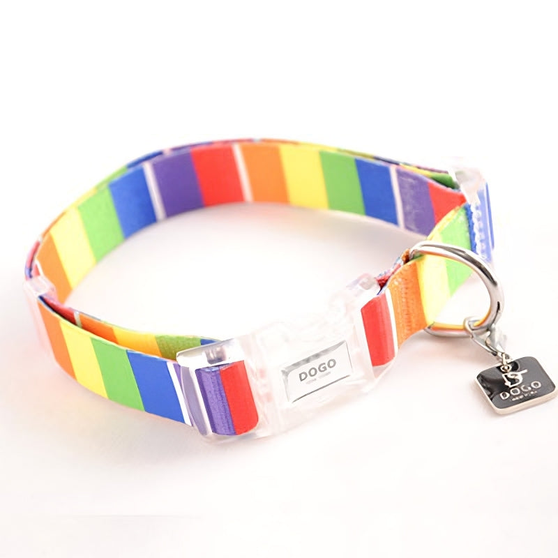 DOGO Contempo Dog Collar