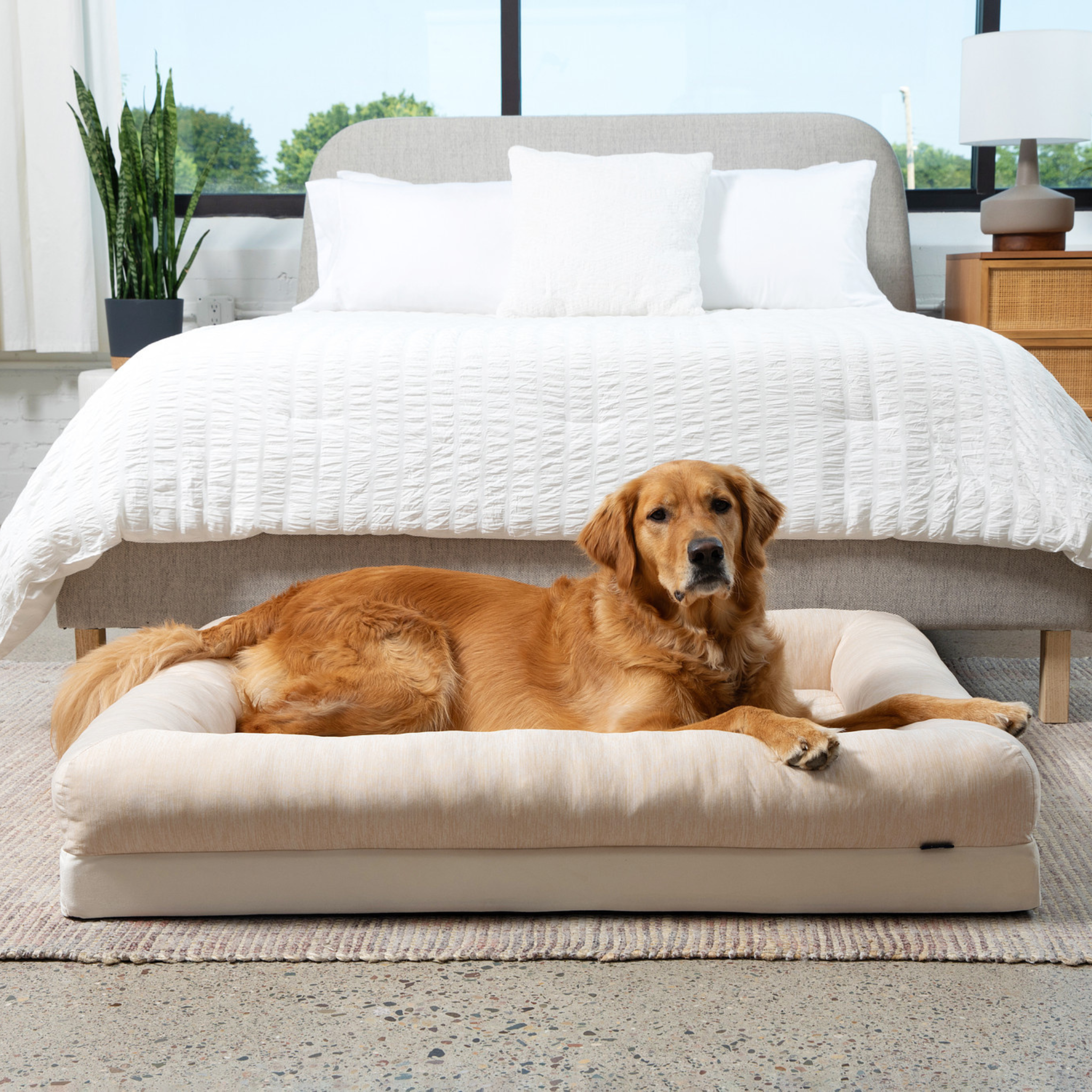 PupChill™ Cooling 4-Bolster Dog Bed in Arctic Sand