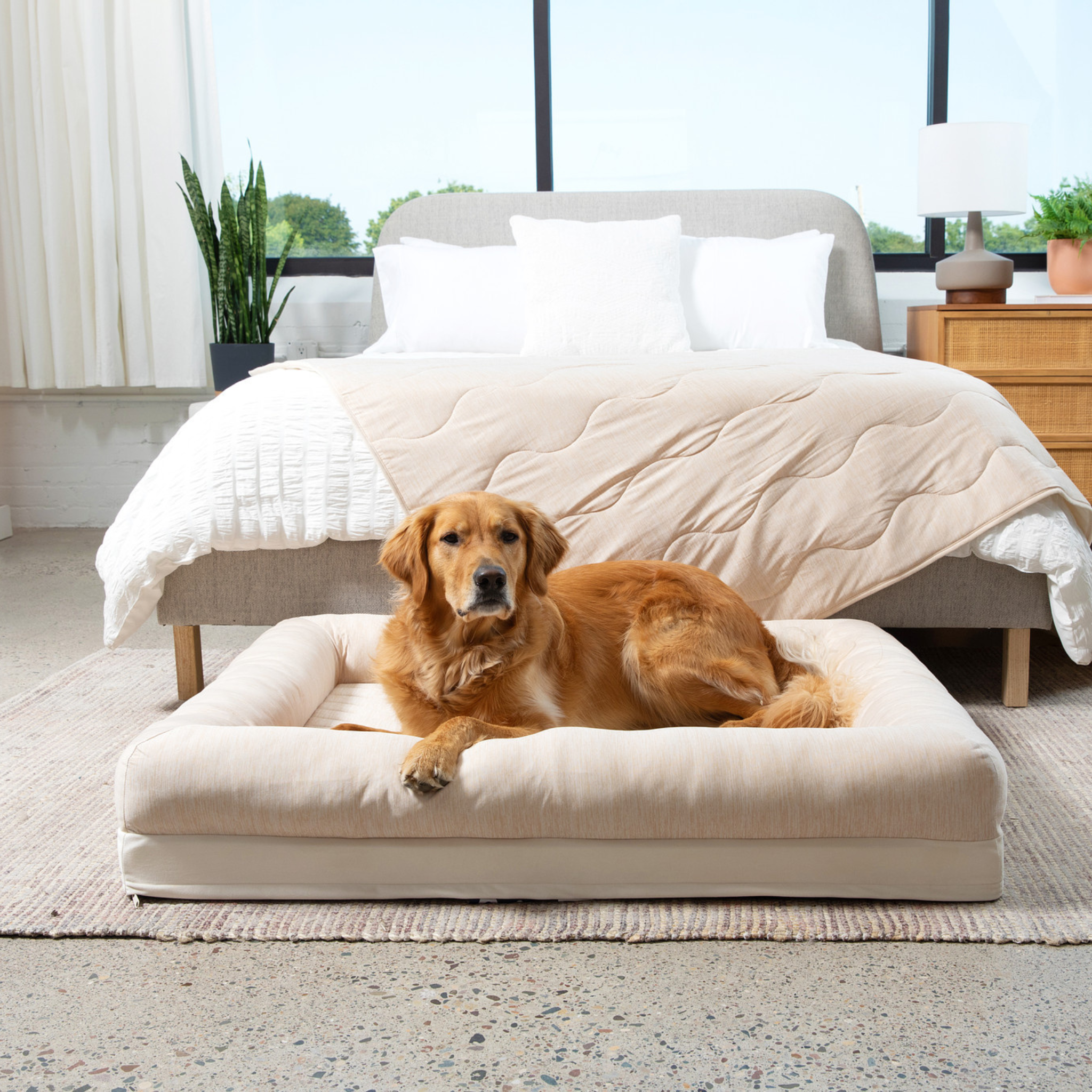 PupChill™ Cooling 4-Bolster Dog Bed in Arctic Sand