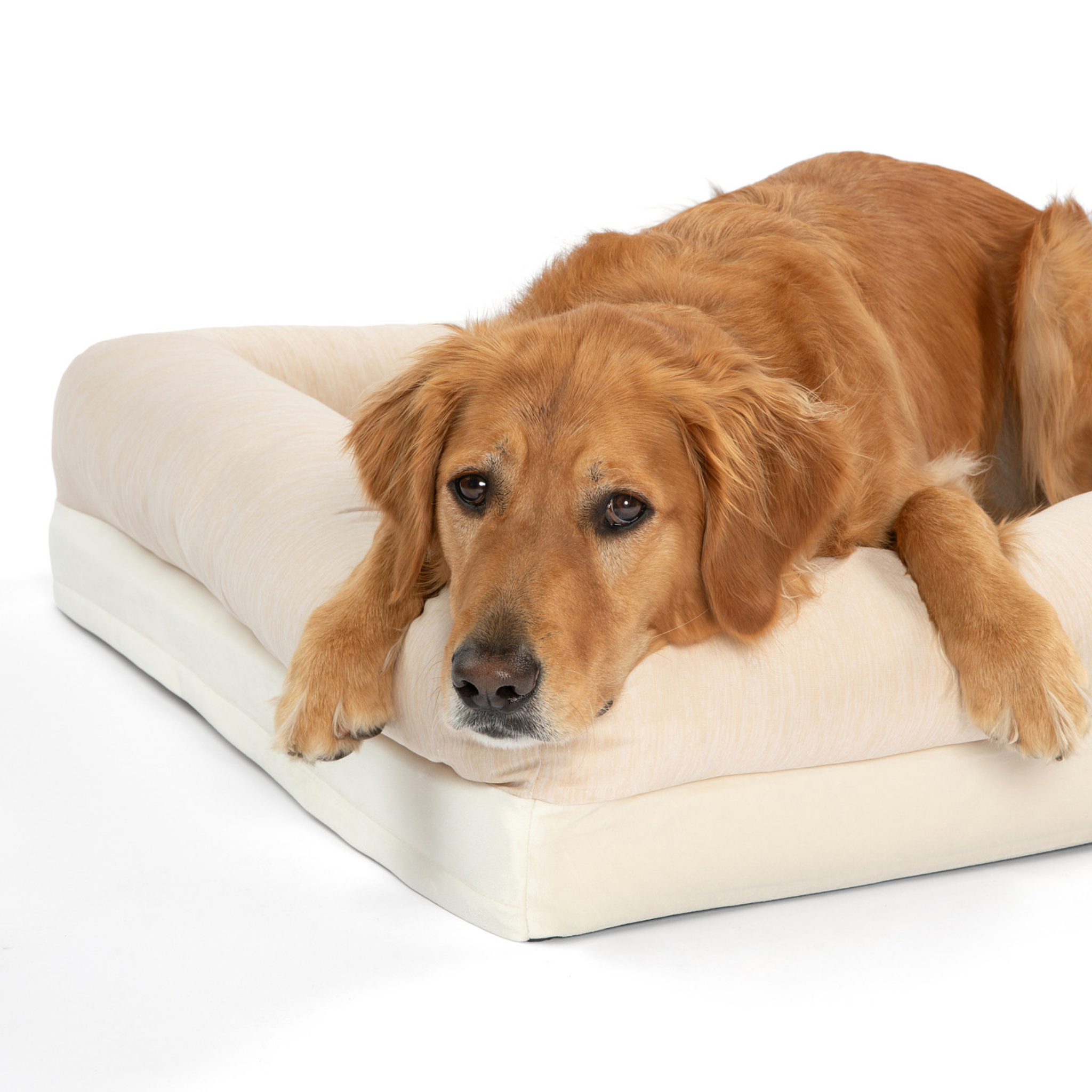 PupChill™ Cooling 4-Bolster Dog Bed in Arctic Sand