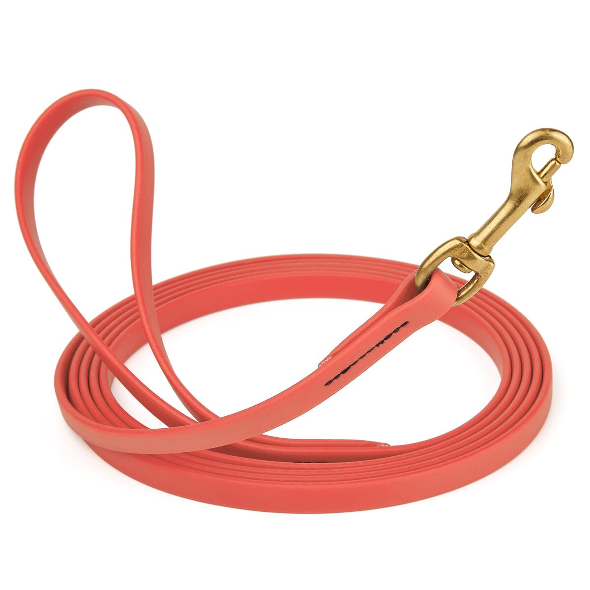 Viper BioThane Long Line 33 ft Dog Lead with Brass Hardware