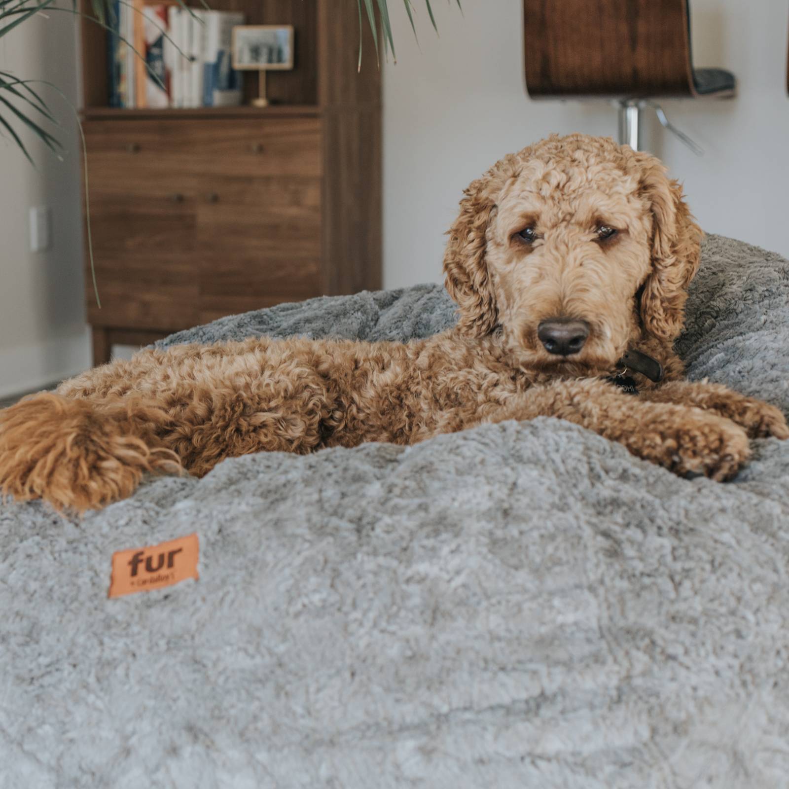 CordaRoy's Full Faux Fur Convertible Bean Bag Chair