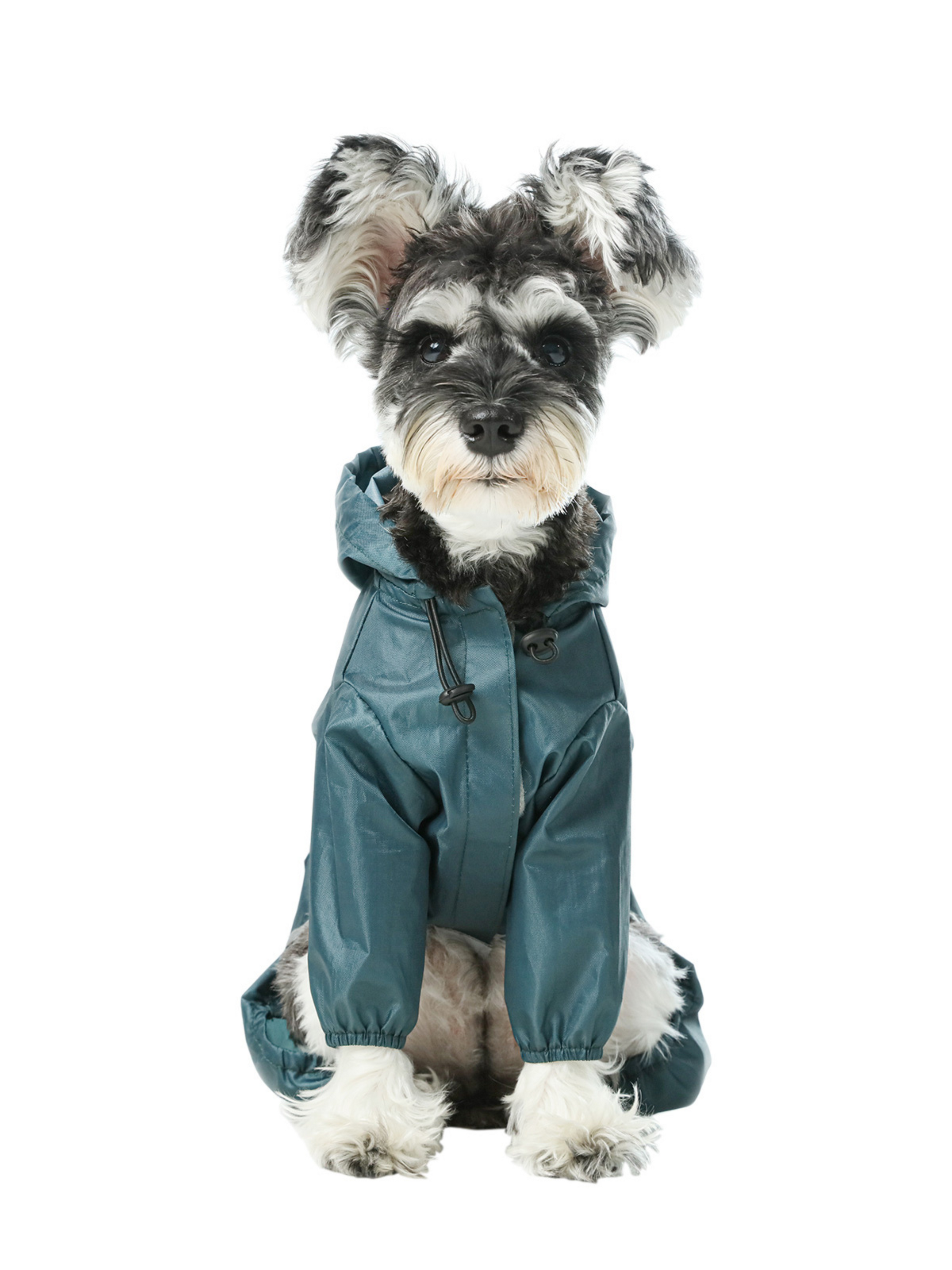 Ultralight Full Covered Hooded Waterproof Dog Jacket-Blue