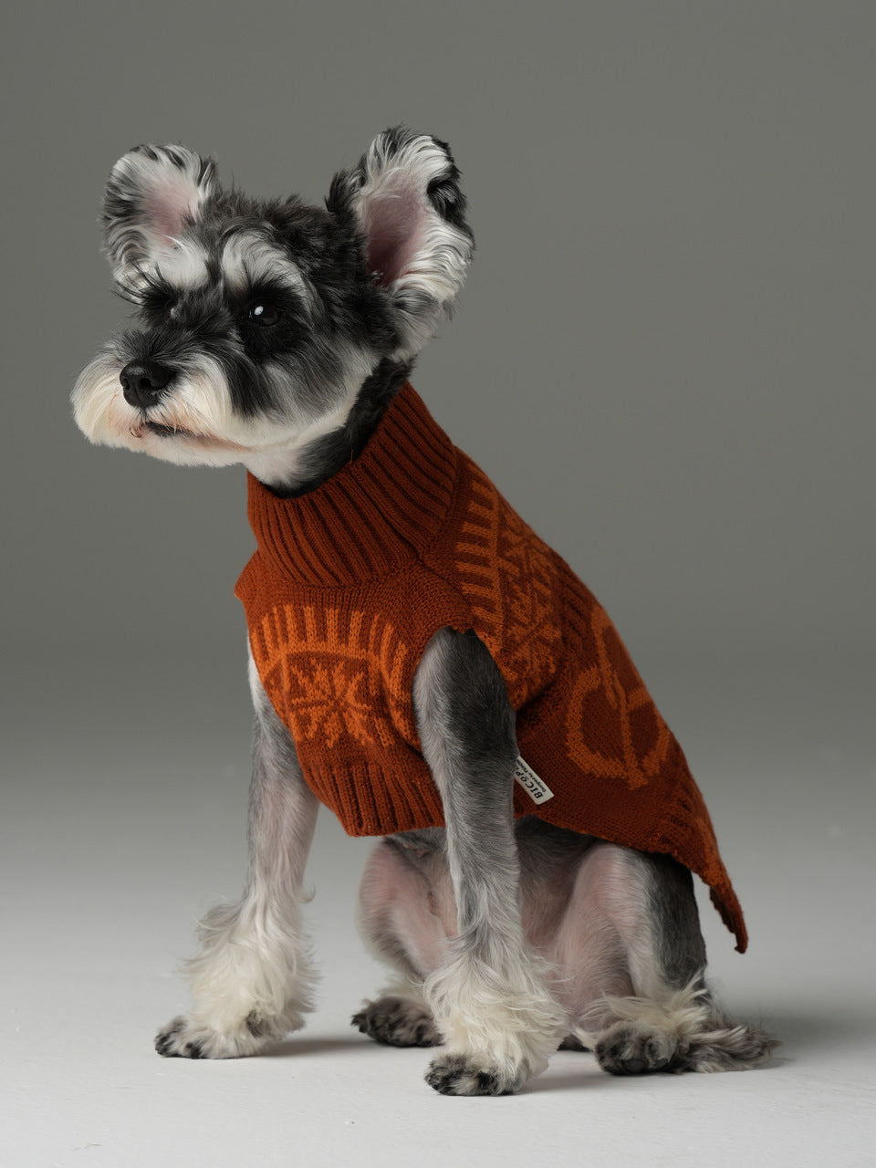 Pretzel Pet Sweater-Toffee Orange