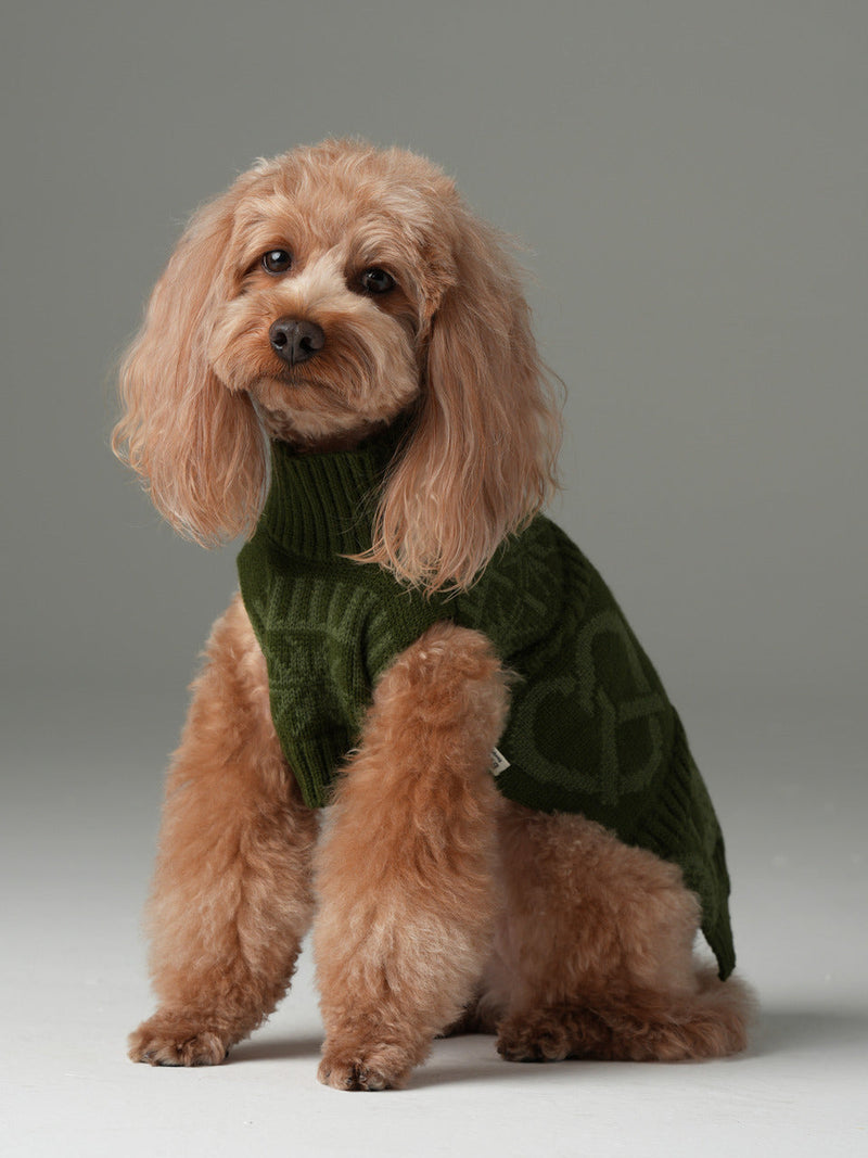 Pretzel Pet Sweater-Olive Green