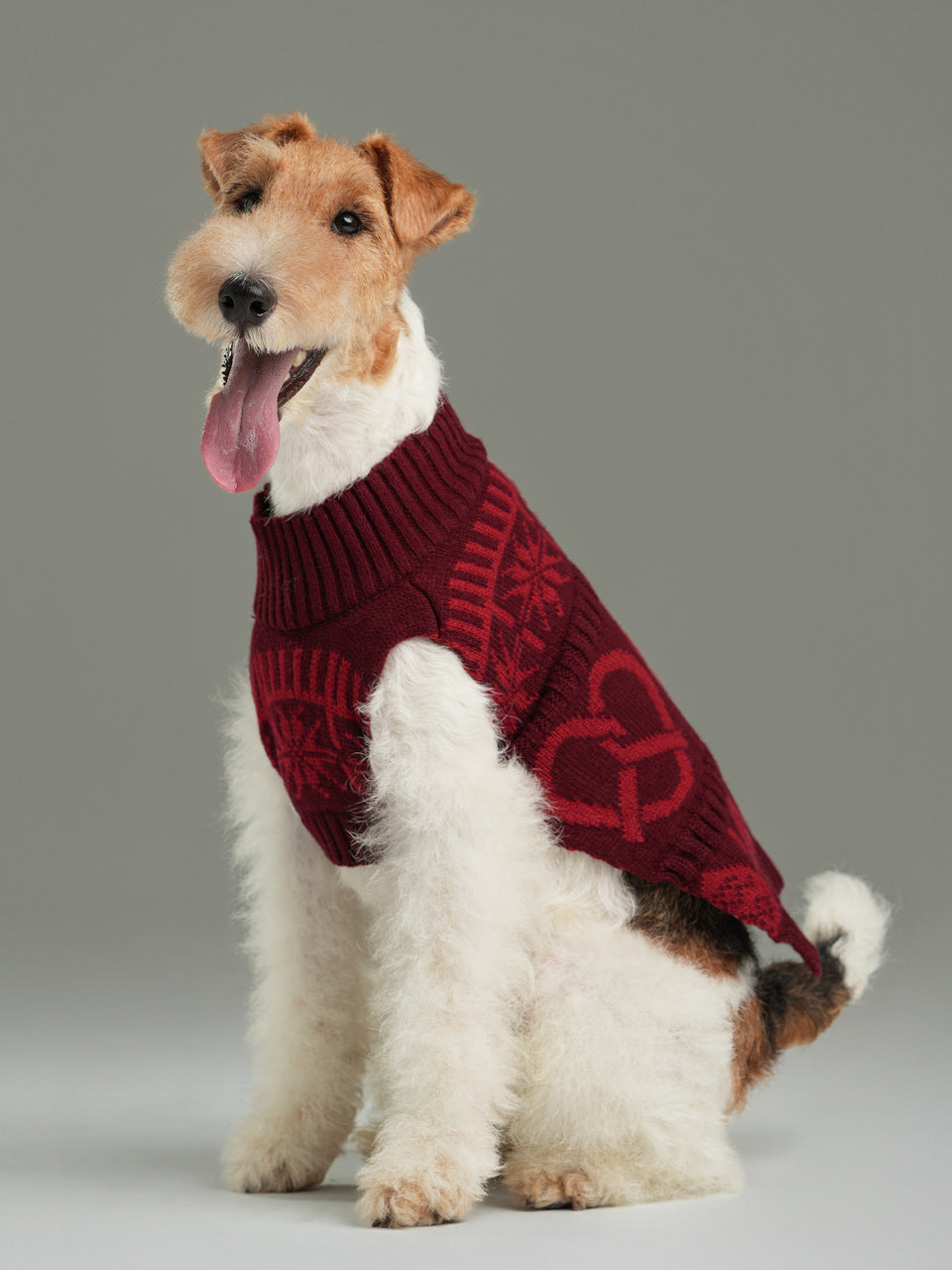 Pretzel Pet Sweater-Burgundy Red