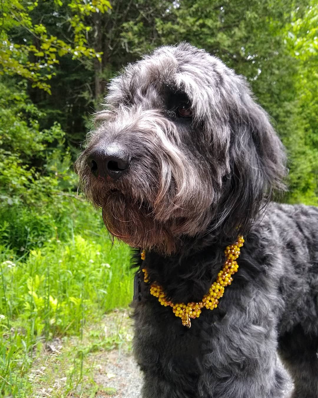 Necklace: Cover Me In Sunshine