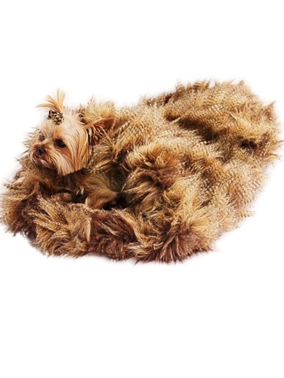 Cozy, Porcupine