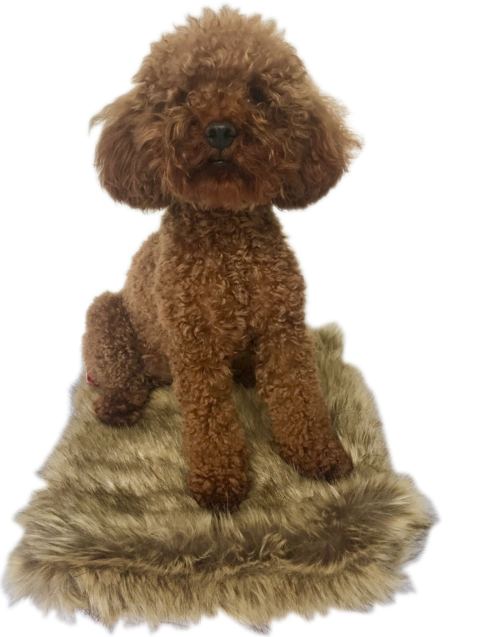 Crate Liner, Coyote plush