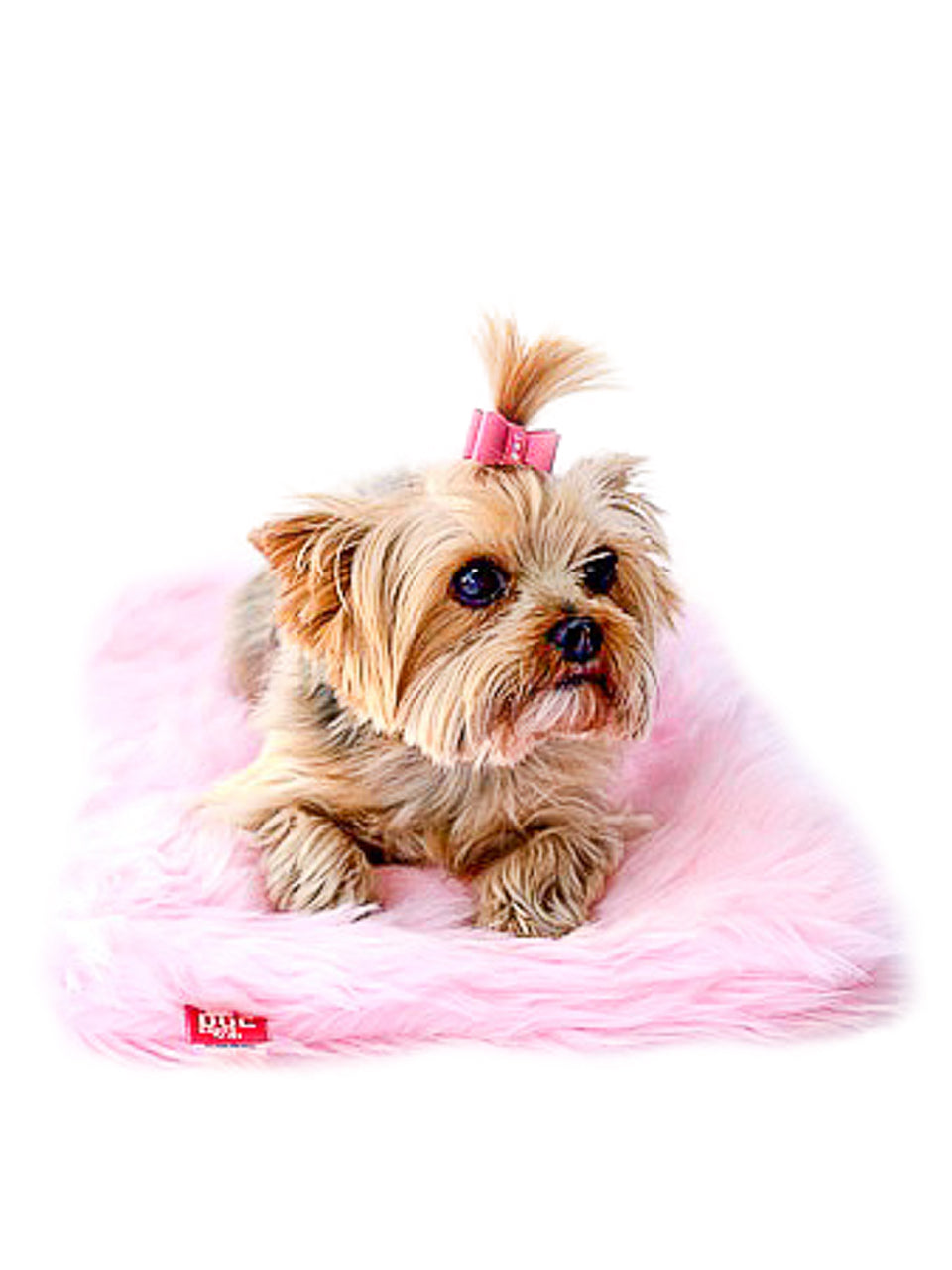 Crate Liner, PInk Shag Plush