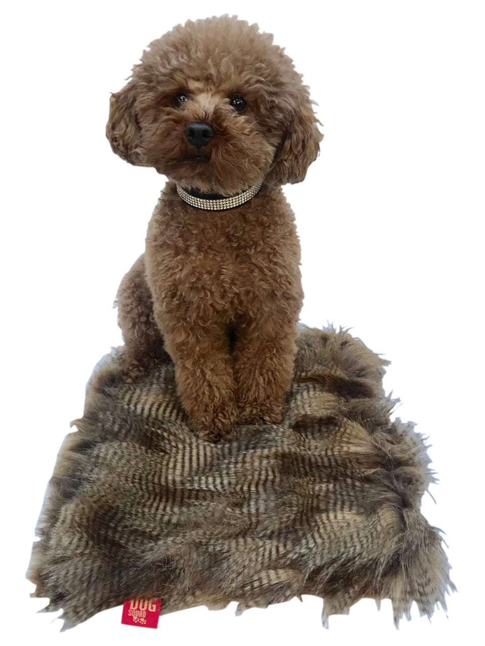 Crate Liner, Porcupine