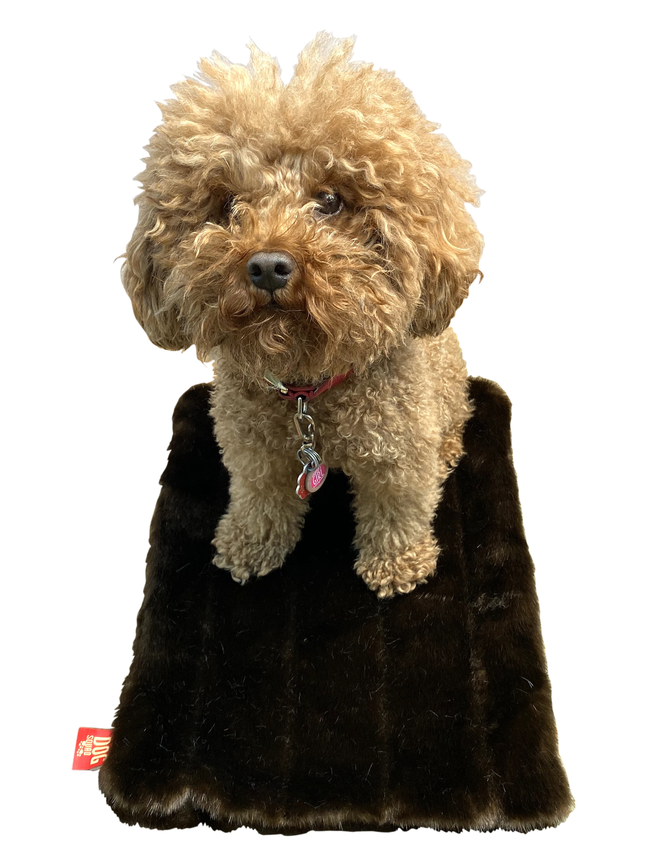 Crate Liner, Brown Mink