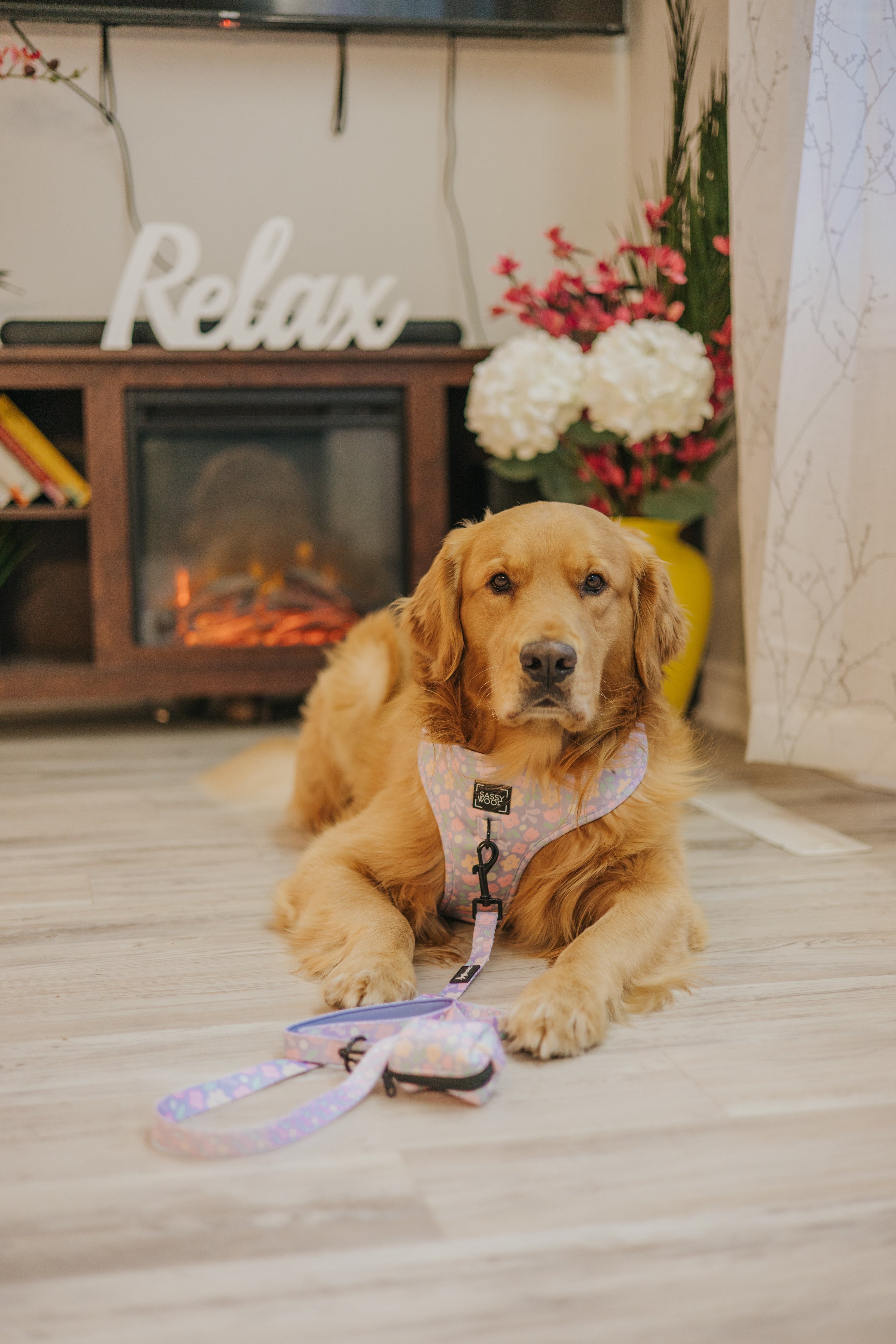 Dog Leash - Fleur de Sass