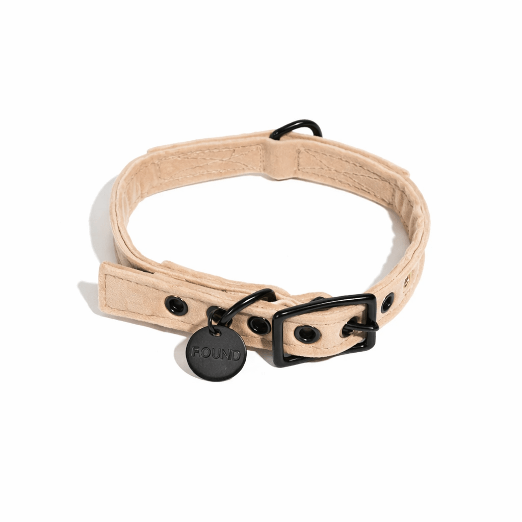 Cream Washable Velvet Cat & Dog Collar – Matte Black Hardware