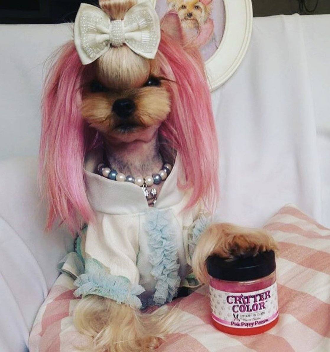 Critter Color - Temporary Pet Fur Coloring/Dog Dye