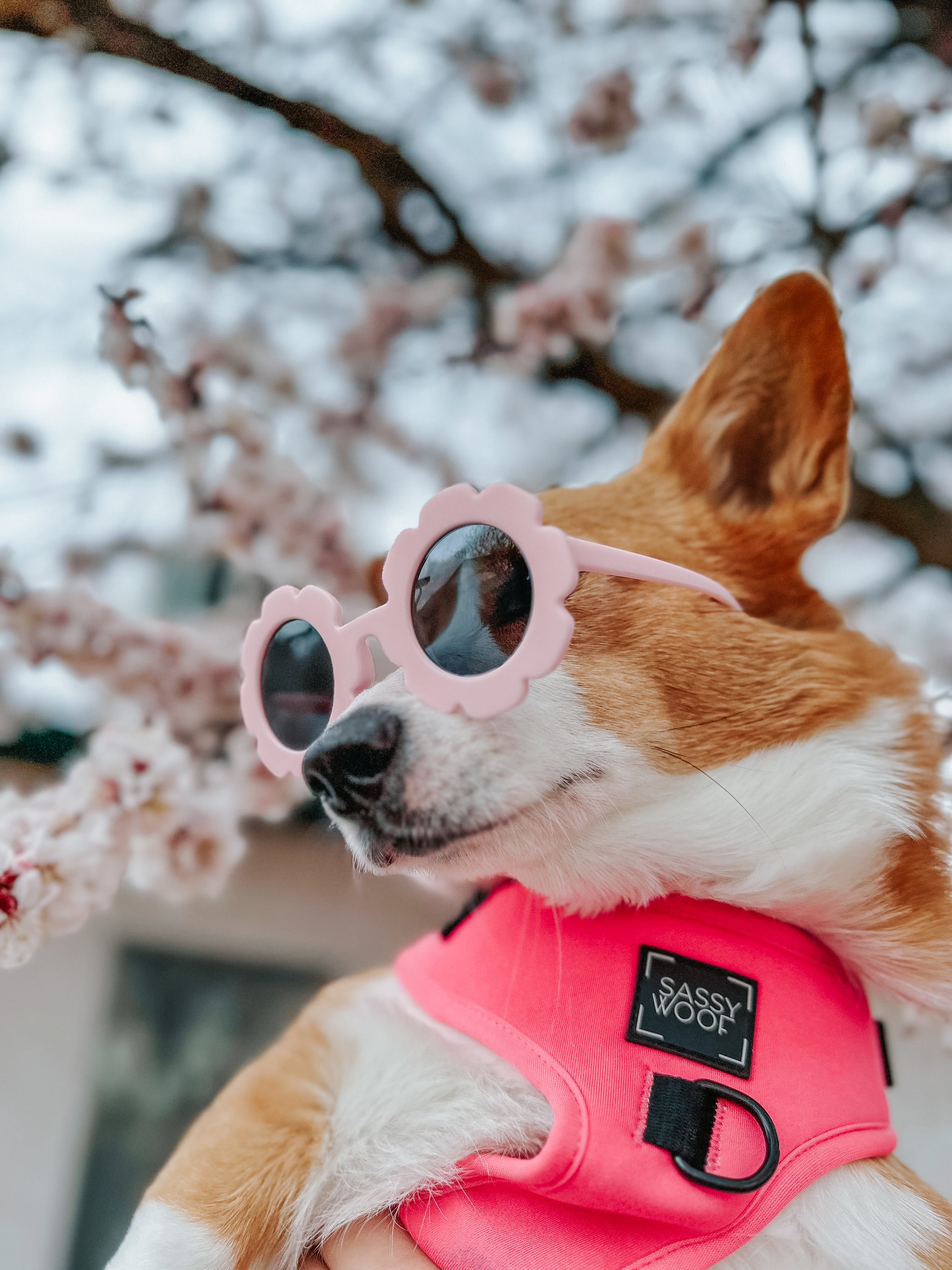 Dog Adjustable Harness - Neon Pink