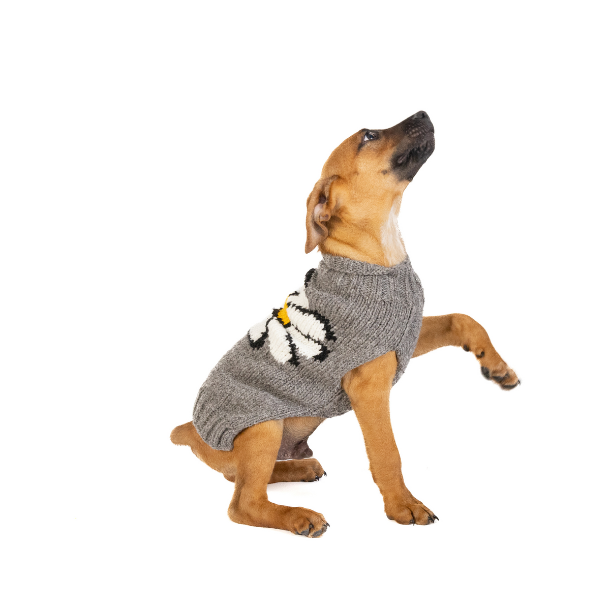 Chilly Dog Big Daisy Wool Dog Sweater