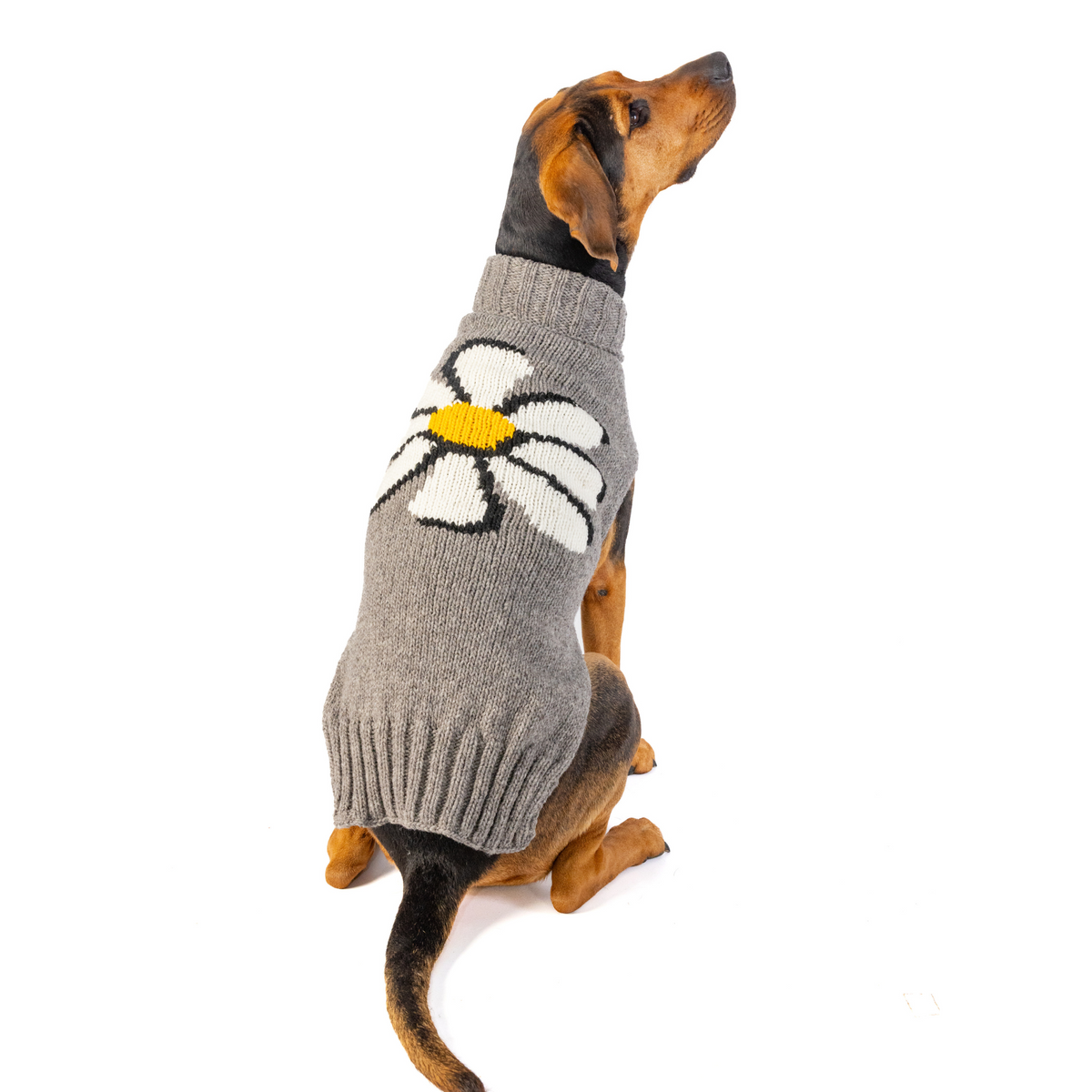 Chilly Dog Big Daisy Wool Dog Sweater