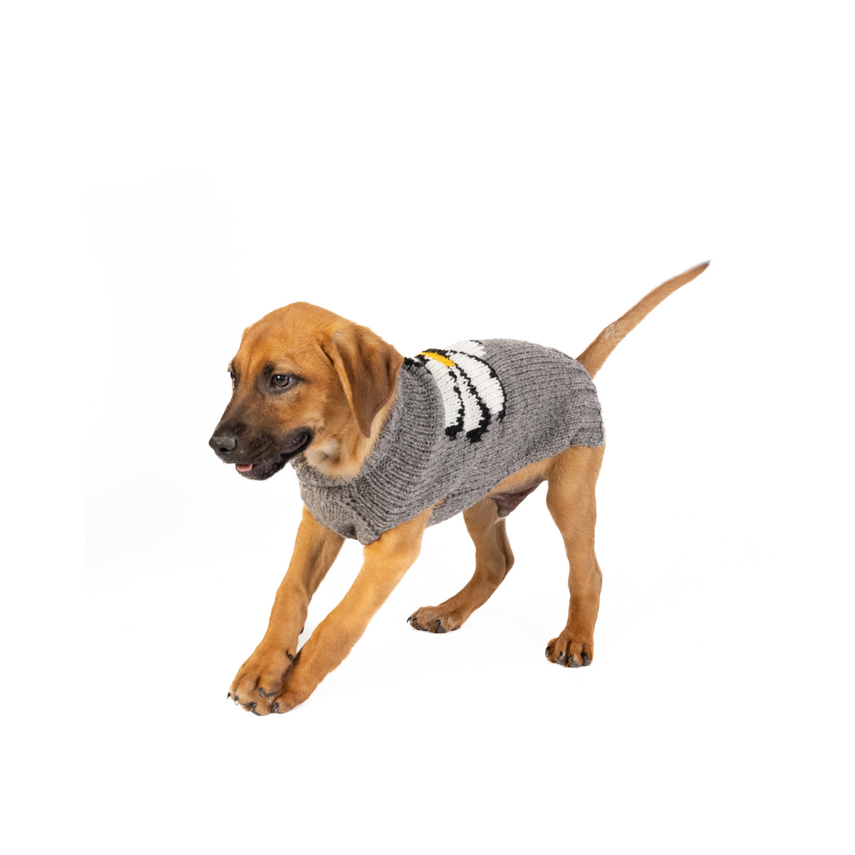 Chilly Dog Big Daisy Wool Dog Sweater