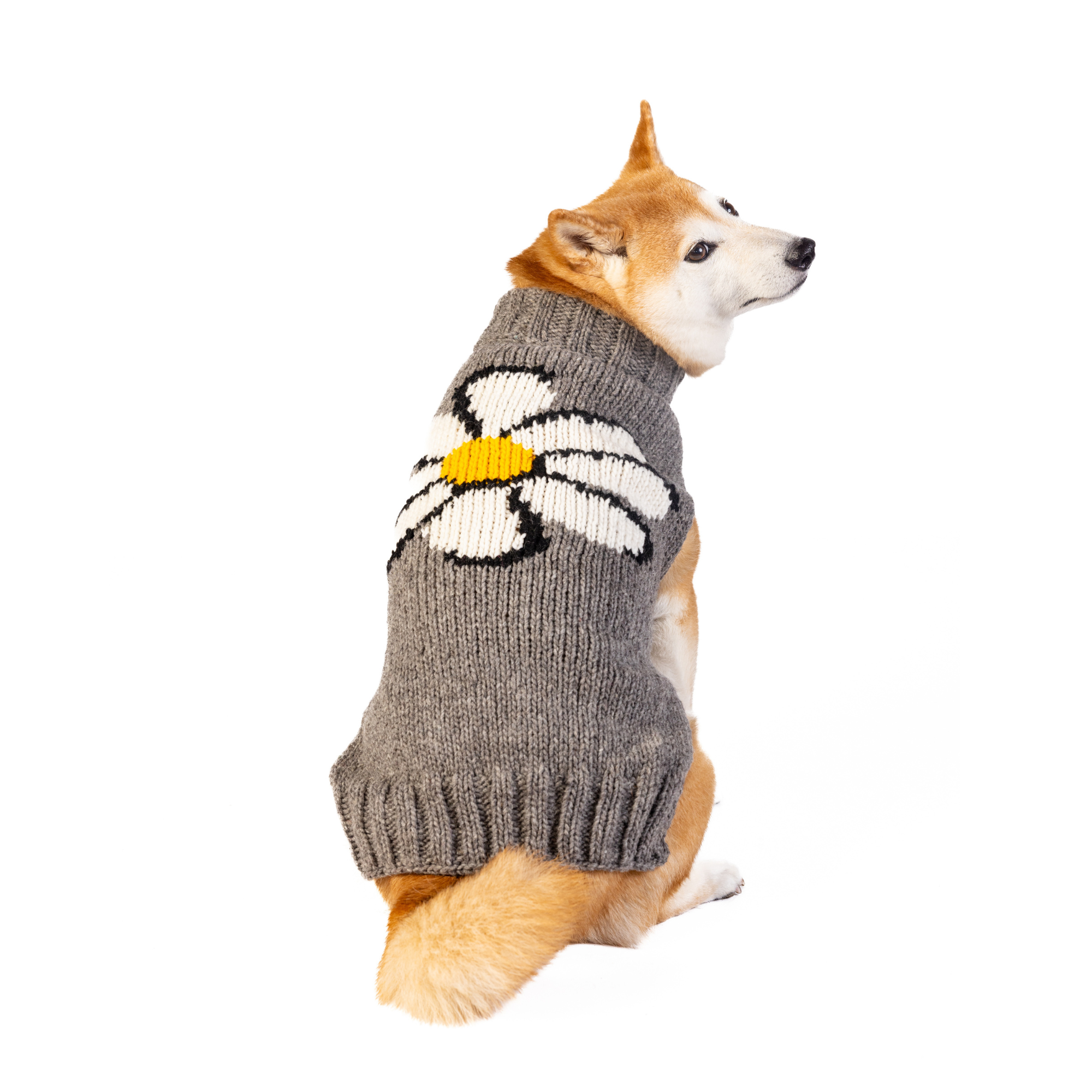Chilly Dog Big Daisy Wool Dog Sweater