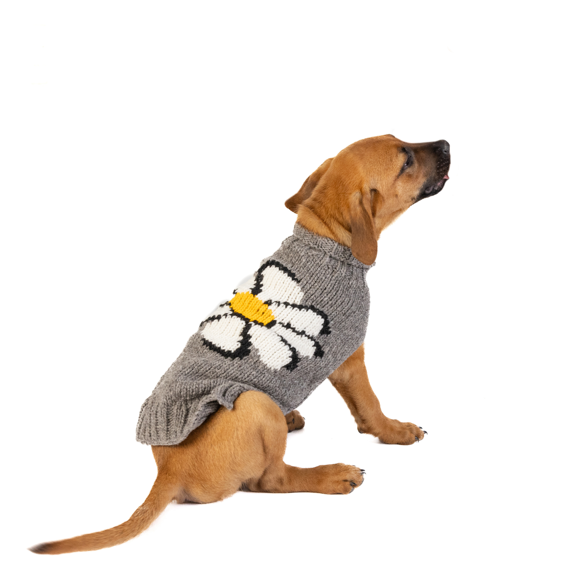 Chilly Dog Big Daisy Wool Dog Sweater