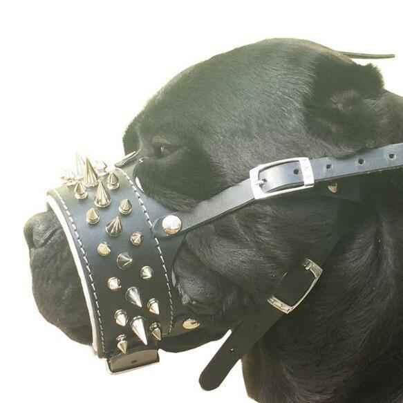 Bestia Danger Leather Dog Muzzle