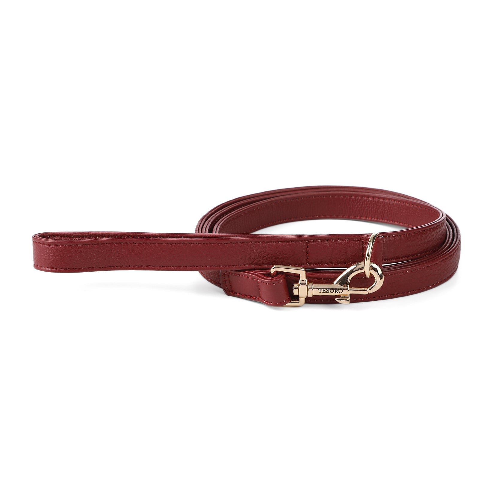 Dog Leash