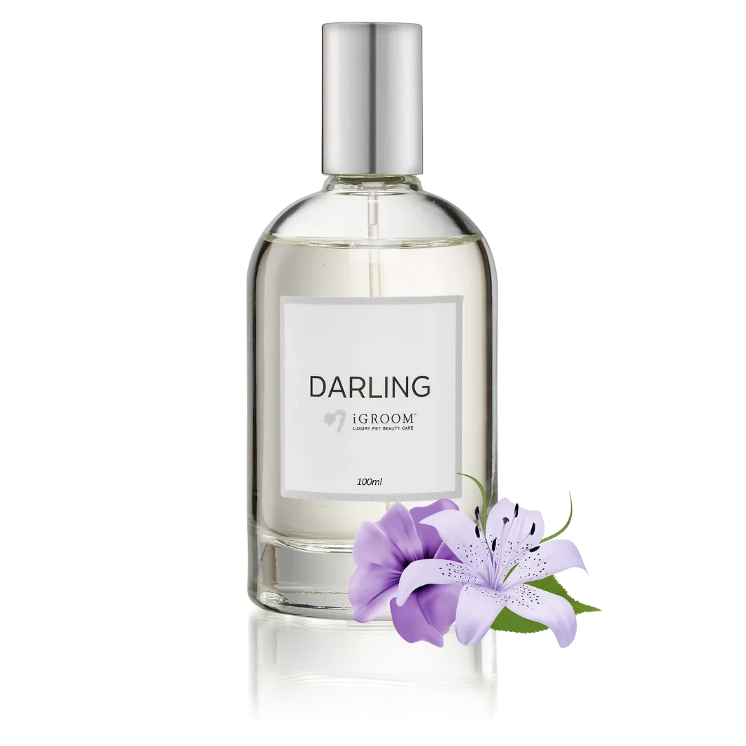 Darling Perfume 100ml by iGroom