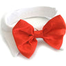 Red Satin Bowtie w/ White Cotton Collar