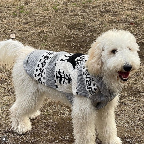 Chilly Dog Reindeer Shawl Wool Dog Sweater