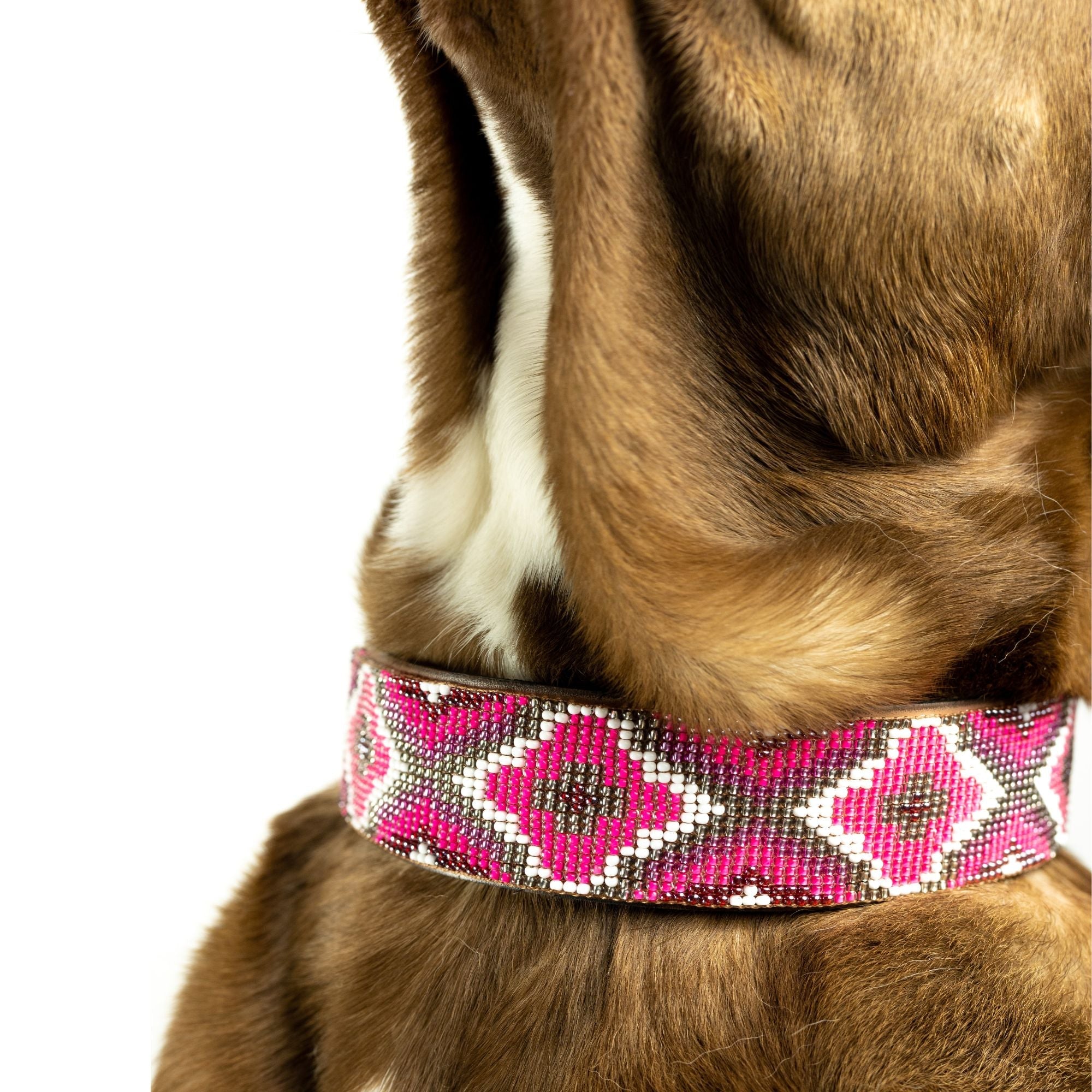 Del Mar Sambboho dog collar