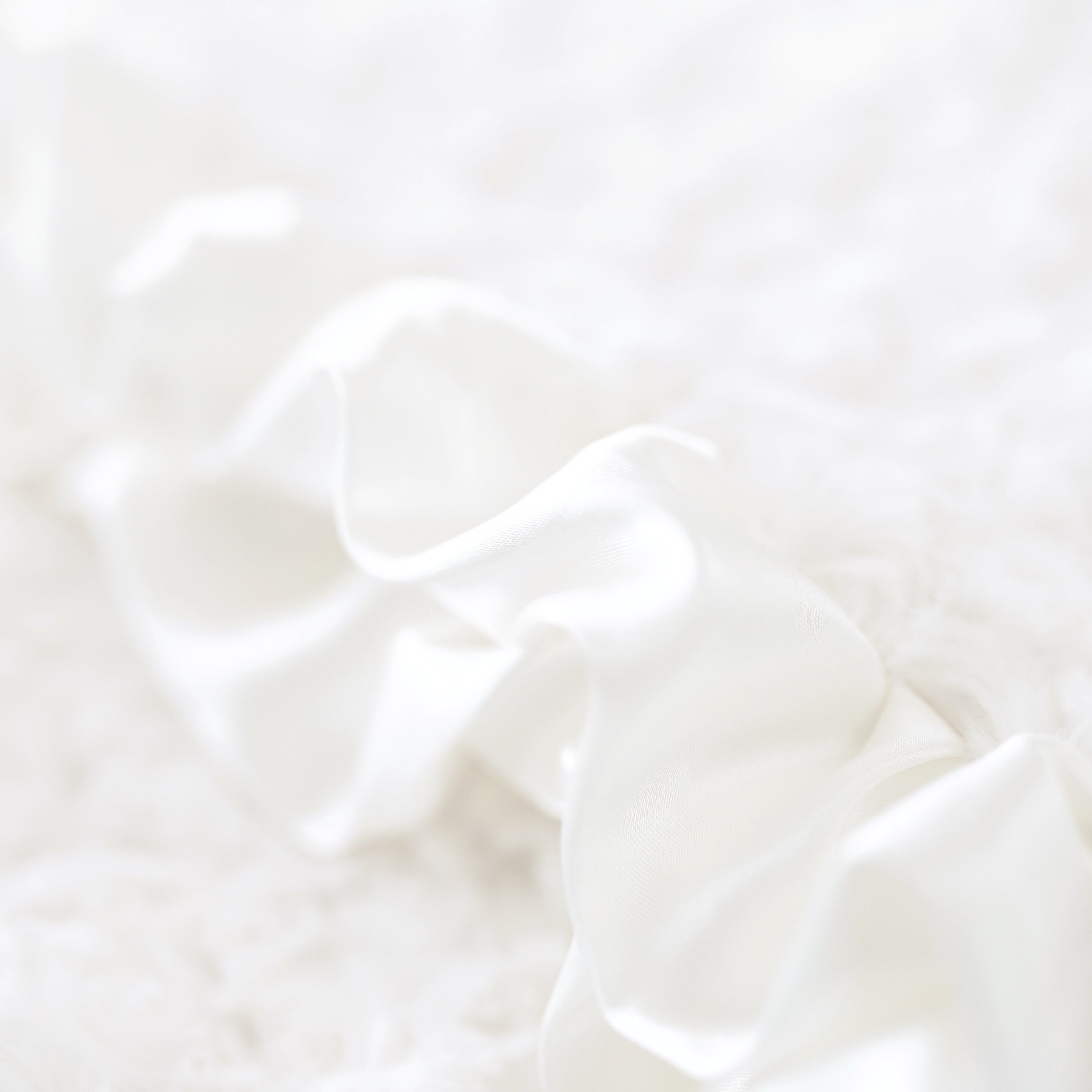 Hello Doggie Baby Ruffle (cream) Satin Silk Dog Blanket