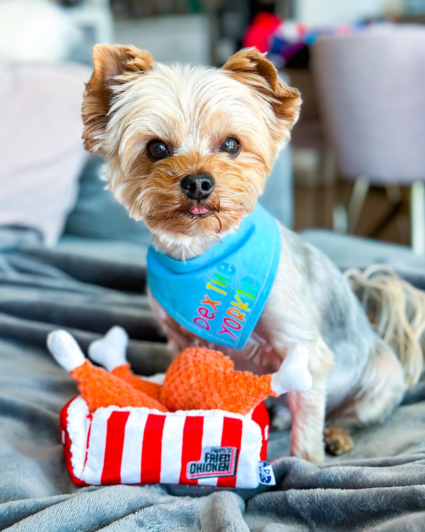 Pawty Fried Chicken Interactive Snuffle Dog Toy