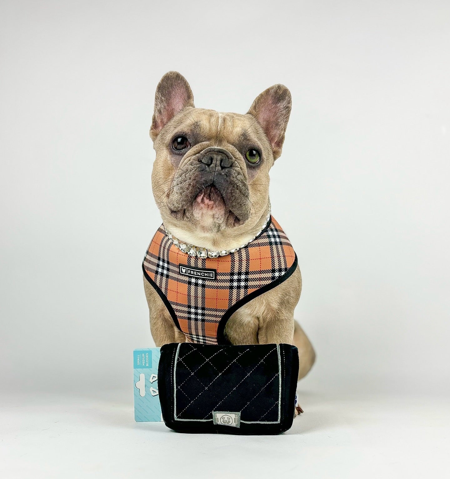 Pet Toy: CHEWNEL PLUSH DOG TOY