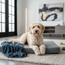 Deluxe Memory Foam Dog Bed
