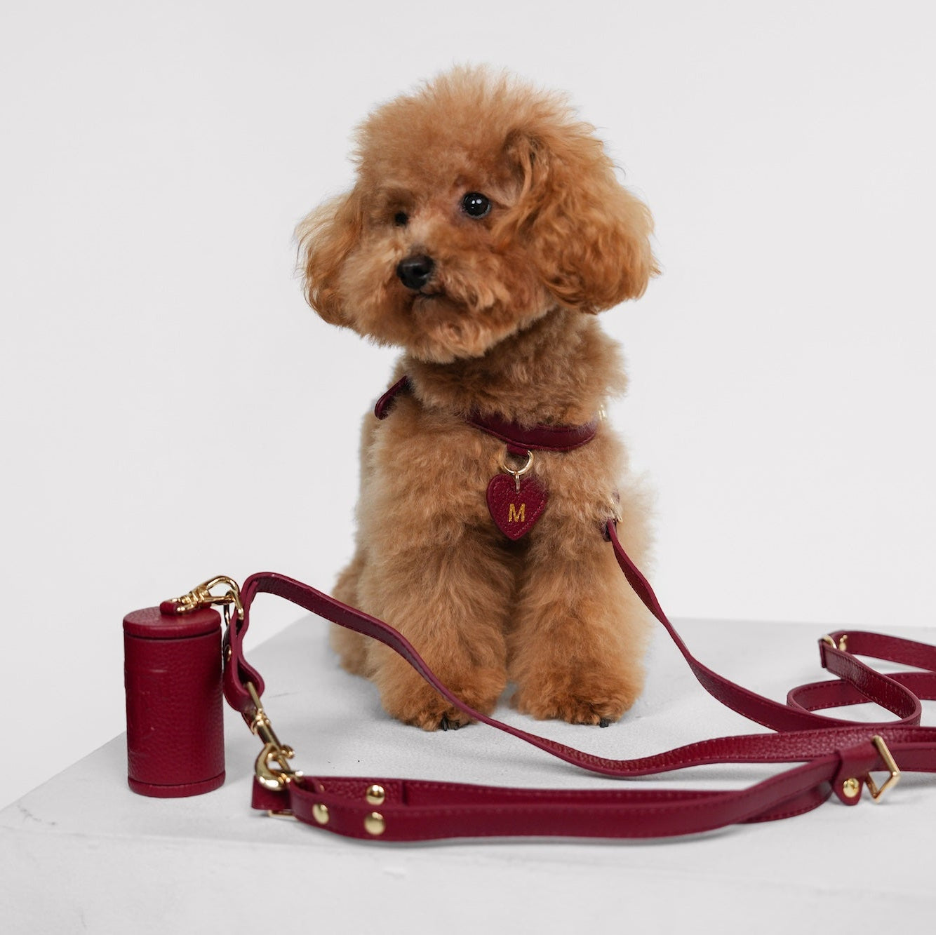 dog poop bag holder (Cylindrical)