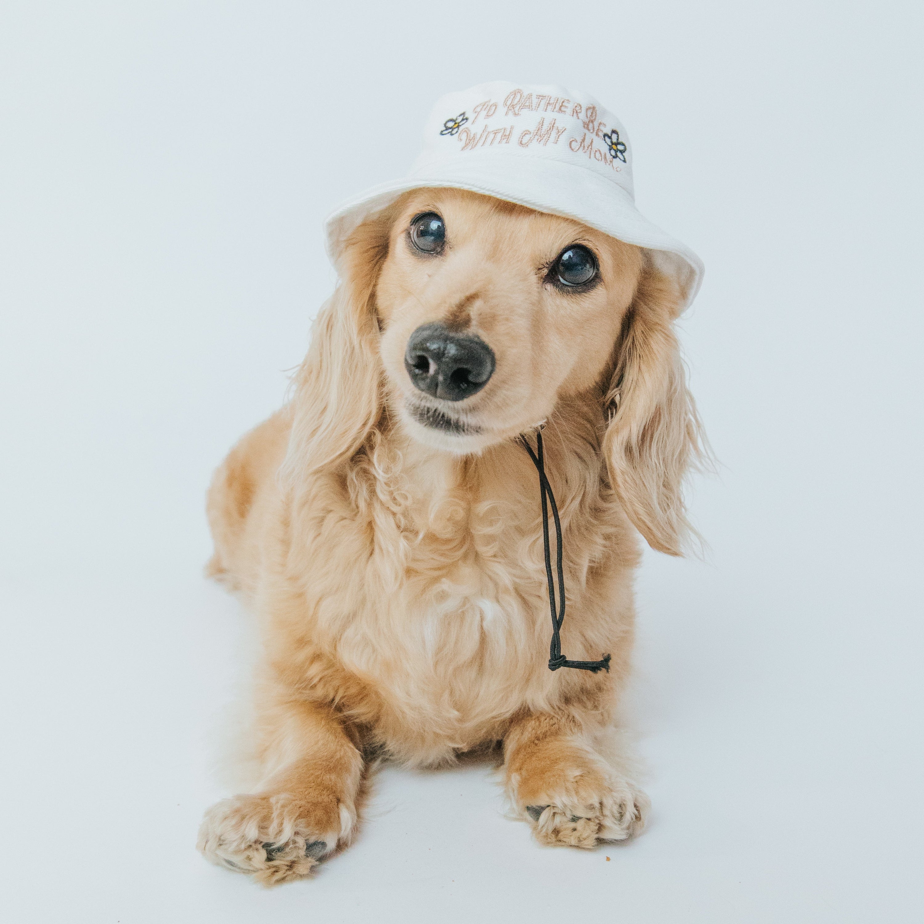 Dog Bucket Hat - Id Rather Be With My Mom