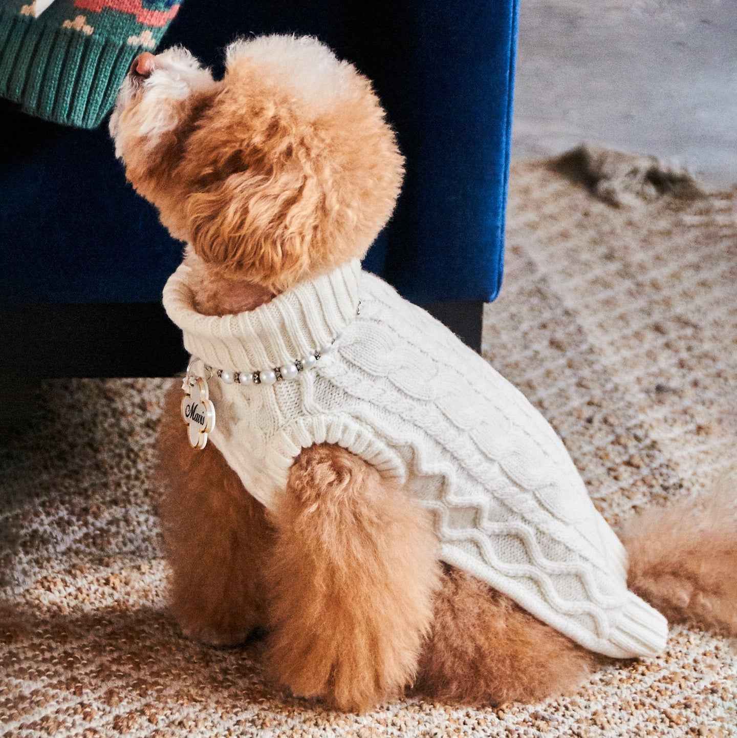 Nooee Pet Off White Wool Cable Sweater