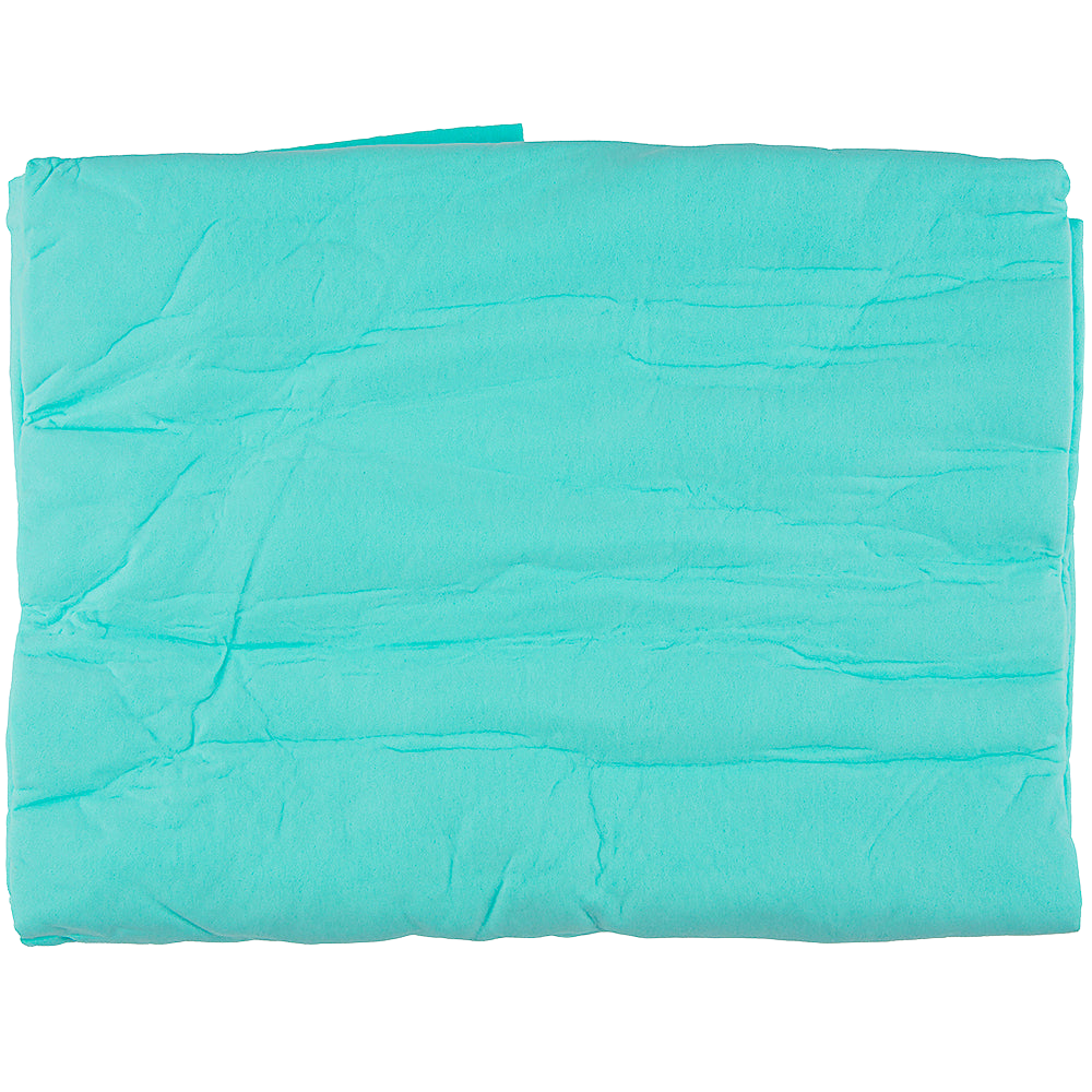 Dog Fashion Spa Absorption Towel Light Blue