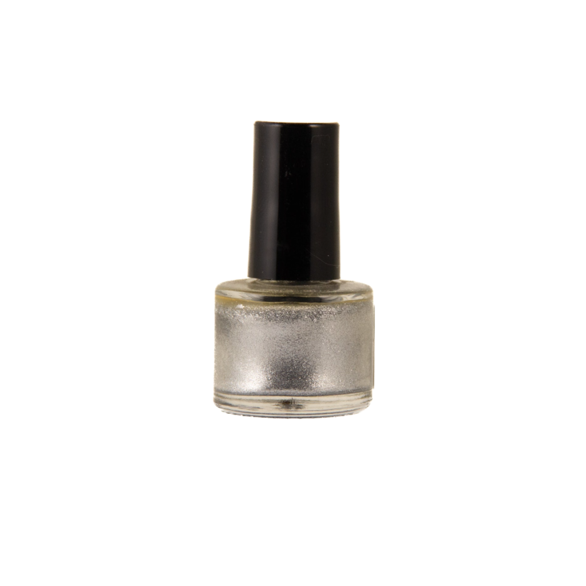 Chic Paw Silver Non-toxic Nail Polish by Dog Fashion Spa