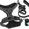 Dog Harness Walking kit and Leash Set