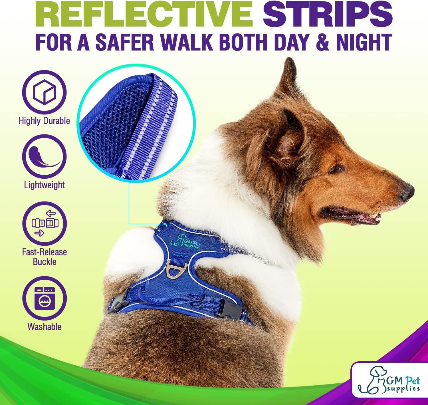 Dog Harness Walking kit and Leash Set